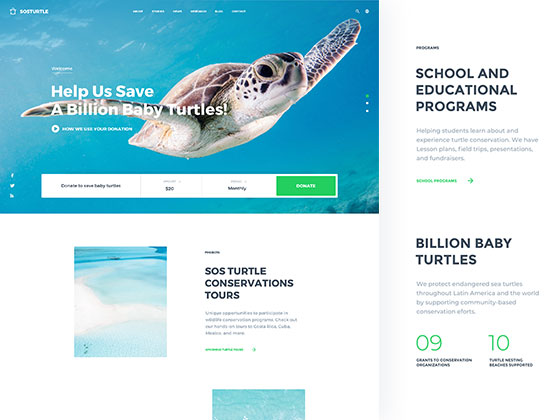 SOSTurtle 着陆页16图库网精选sket